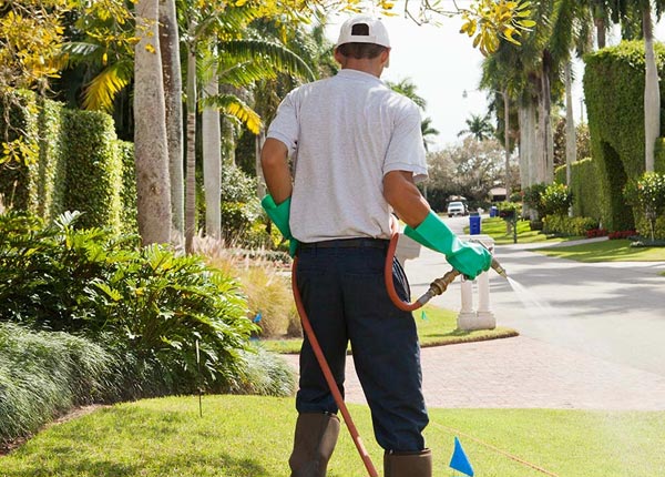 About Metz WV Pest Control
